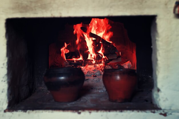 Olla en el horno y tenedor de horno