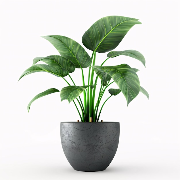en una olla negra con una planta en ella