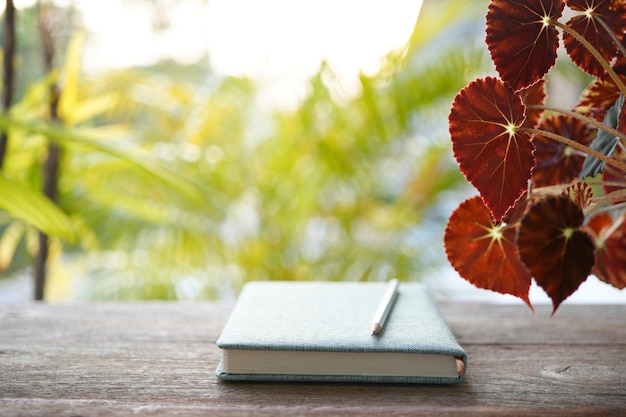 Una olla de plantas de begonia en una mesa de madera con un cuaderno de diario