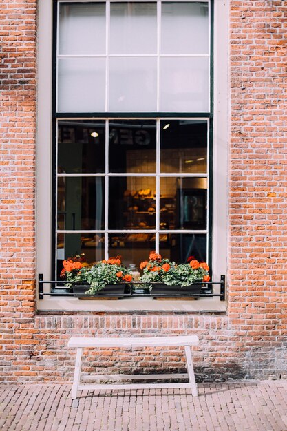 Foto las ollas de flores en la ventana