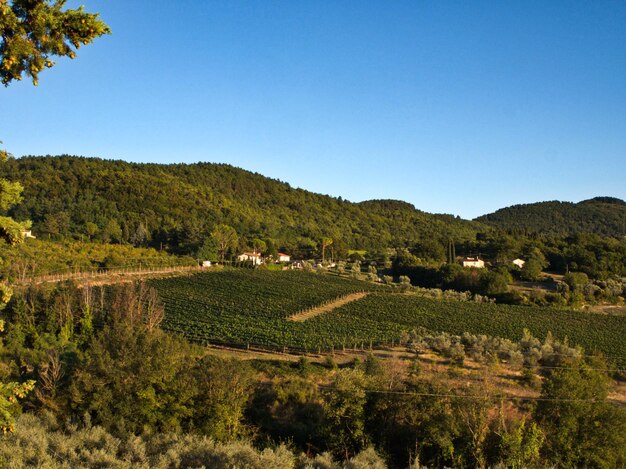 Foto olmo é uma pequena aldeia perto da minha casa no campo de fiesole. adoro as suas paisagens.