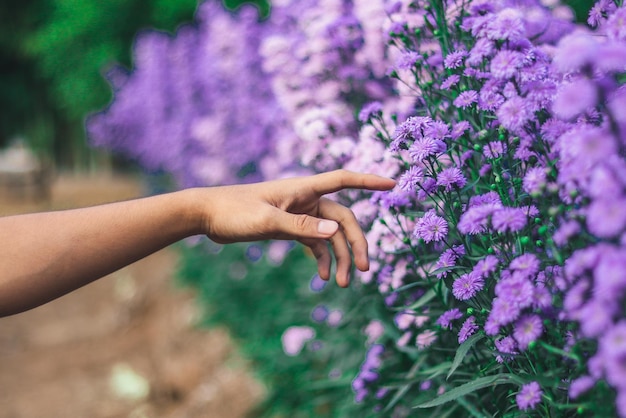 Foto el olor de las flores huele como tu olor