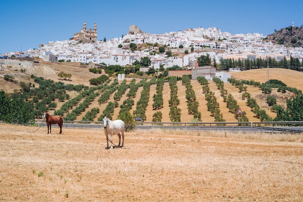 Olvera in Andalusien