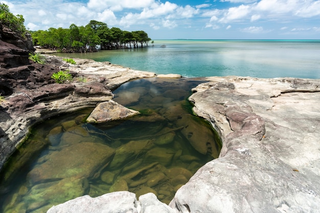 Omijya Fluss trifft Meerwasser, Iriomote Insel, Yaeyama, Okinawa, Japan.