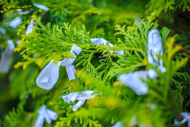 Omikuju Charms o papel de la fortuna en Nikko, Tochigi, Japón.