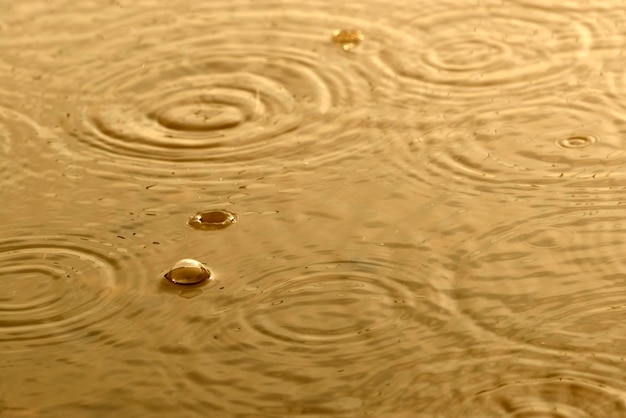 Onda de burbuja de oro y ondulación en la superficie del agua que llueve