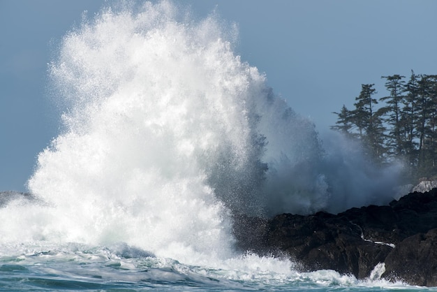 Onda quebrando em uma costa rochosa em Big Beach, Ucluelet, Ilha de Vancouver, BC Canadá
