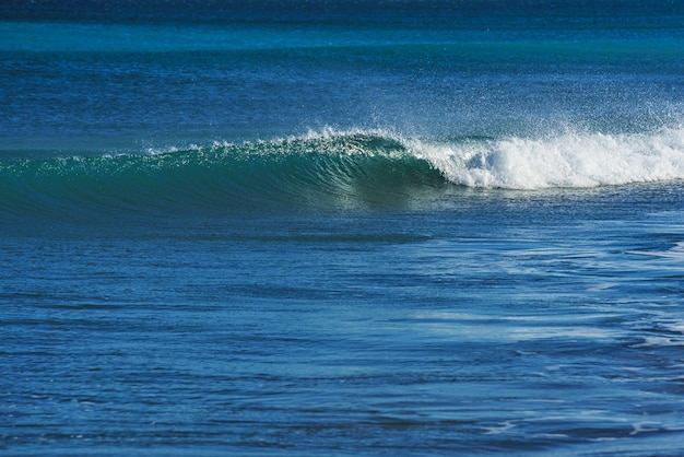 Onda única ondula em águas calmas no mar