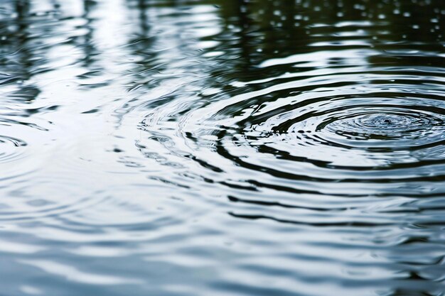 Las ondas de agua y las ondas en la superficie del agua