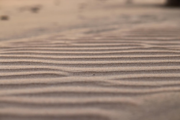 Ondas de areia na praia Foco seletivo Close Up Background