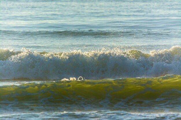 Ondas do mar pela manhã