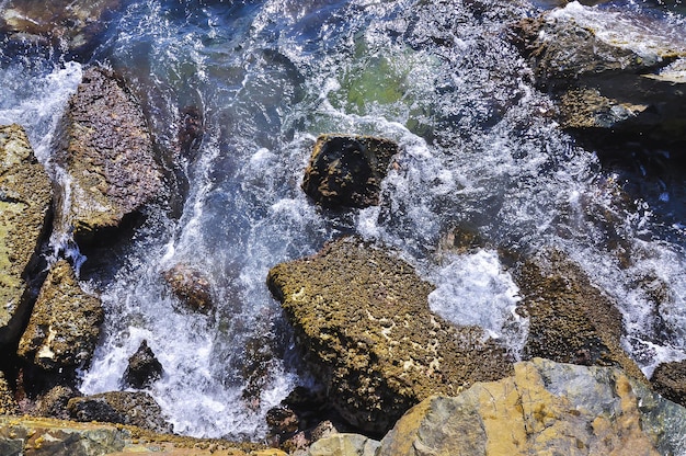 Ondas do mar