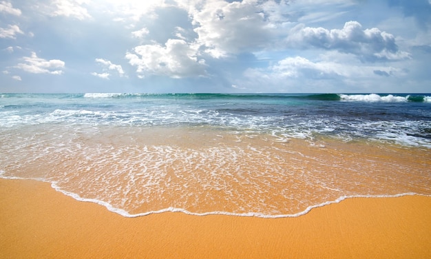 Ondas do oceano em uma costa arenosa