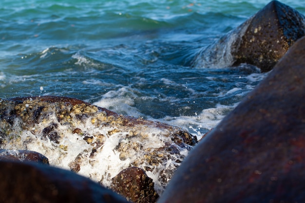 Ondas esmagando em uma praia rochosa