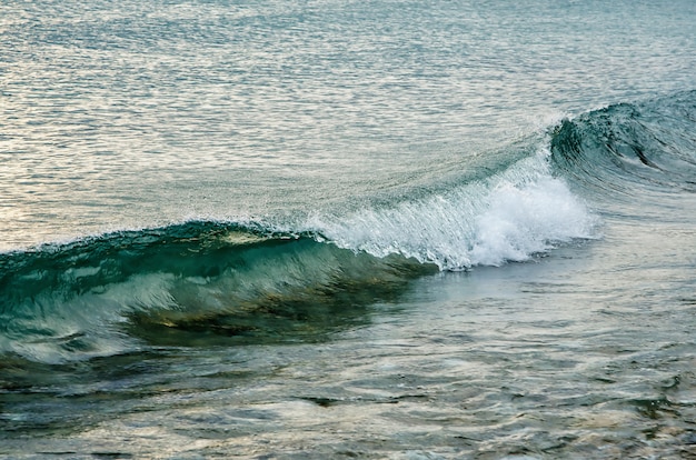 Foto ondas na beira-mar, lago baikal em dezembro