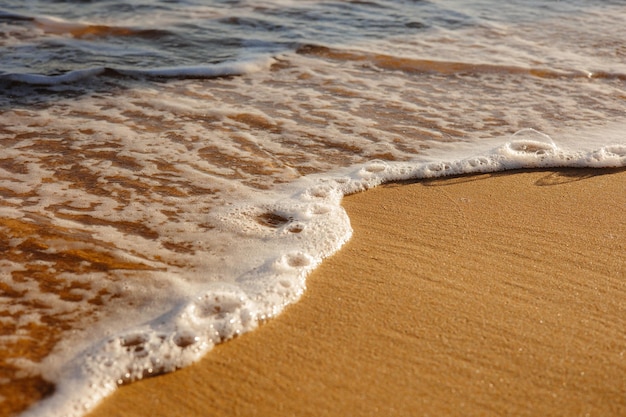 Ondas na praia Areia na praia com uma onda do mar