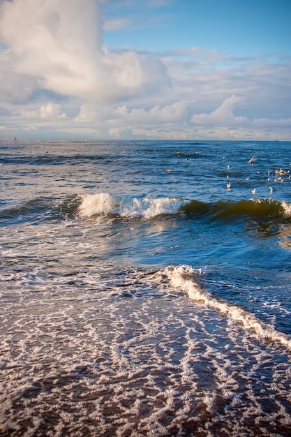 Ondas no mar báltico no outono