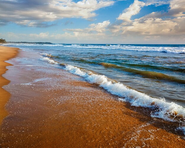 Ondas surgindo na areia