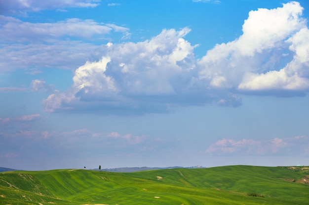 Ondas verdes. paisagem típica da toscana - vista de uma colina, árvore solitária na encosta e campos verdes em dia de sol. província de siena. toscana, itália