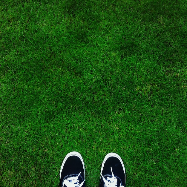 Onde estou, tênis preto no campo verde.