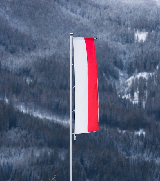 Ondear la bandera polaca en el viento contra la alta montaña cubierta de nieve