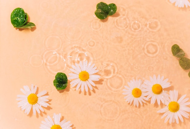 Ondulación del agua con flores. Fondo de moda para la presentación de productos cosméticos. concepto artístico.