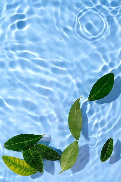 Ondulación del agua con hojas verdes. Fondo azul de moda para la presentación de productos cosméticos. Concepto artístico. Copia espacio