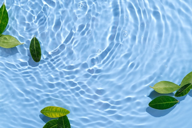 Ondulación del agua con hojas verdes. Fondo azul de moda para la presentación de productos cosméticos. Concepto artístico. Copia espacio