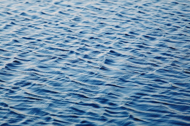 Foto ondulaciones en la superficie del agua.