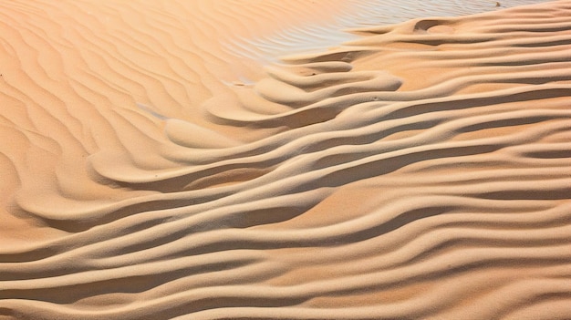 Ondulações na areia