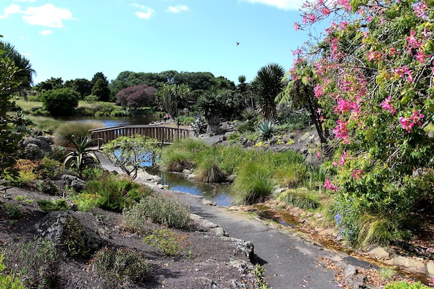 One Tree Hill Park Auckland paisagem parque da cidade maori