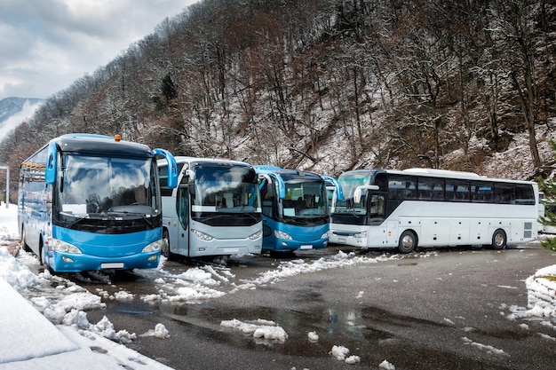 Ônibus intermunicipais estacionados perto da floresta montanhosa no inverno