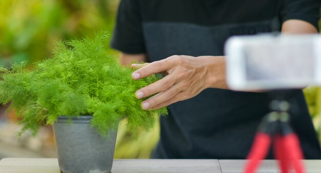 Online V Logger Training für Kaktuspflanzung und Hausgartenarbeit, Arbeiten von zu Hause aus im Internet