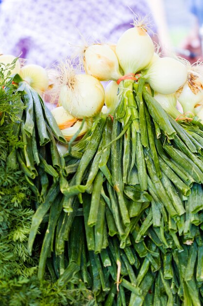 Onons blancos frescos en el mercado de agricultores local.