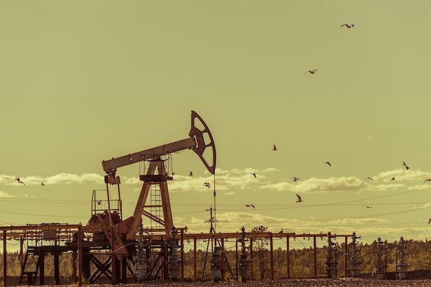 Operação de equipamento de bomba de óleo na plataforma na indústria de petróleo e gás. Pumpjack, equipamento industrial. Local do campo petrolífero, bomba de óleo funcionando. Máquinas de balanço para geração de energia. Conceito de petróleo. Tonificado.