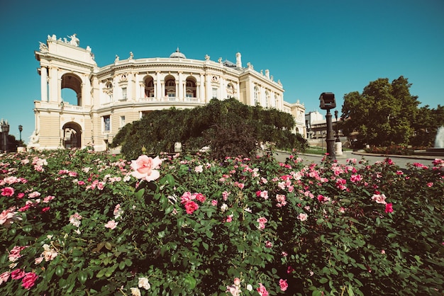 Opernhaus mit Rosengarten im Vordergrund in Odessa, Ukraine