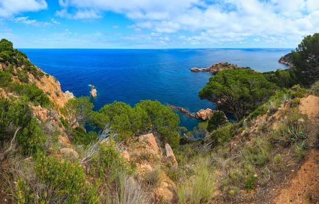 Opinião da costa rochosa do mar mediterrâneo no verão (costa brava, catalunha, espanha).