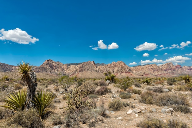 Opinião da paisagem do Arizona no fundo do céu azul profundo