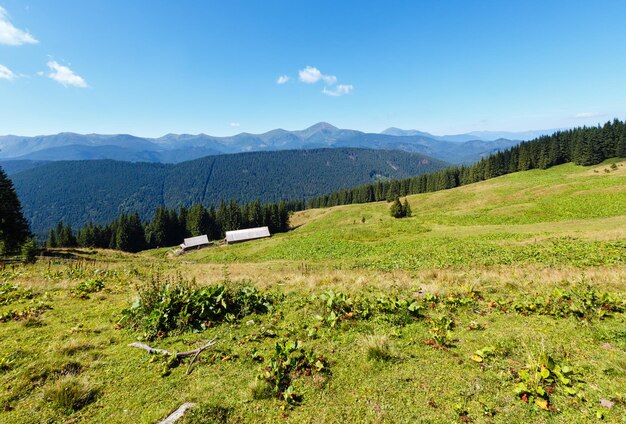 Opinião do cume da montanha de Chornohora do verão do planalto de Vesnjarka (Cárpatos, Ucrânia).
