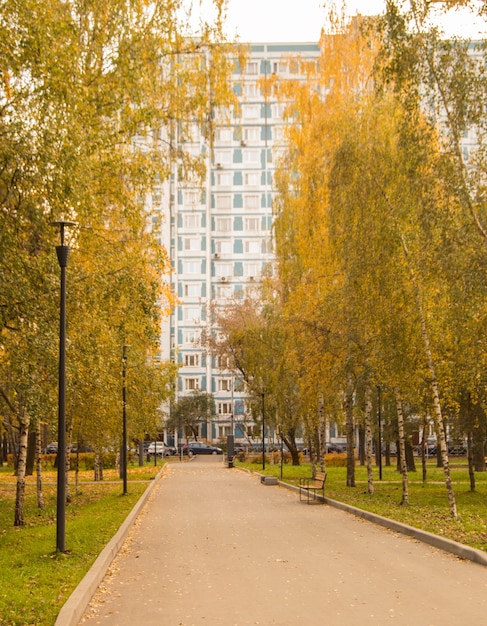 Opinião do outono de um edifício residencial de vários andares no final de um beco de asfalto, um parque na cidade com bétulas e lanternas, outono moscou.