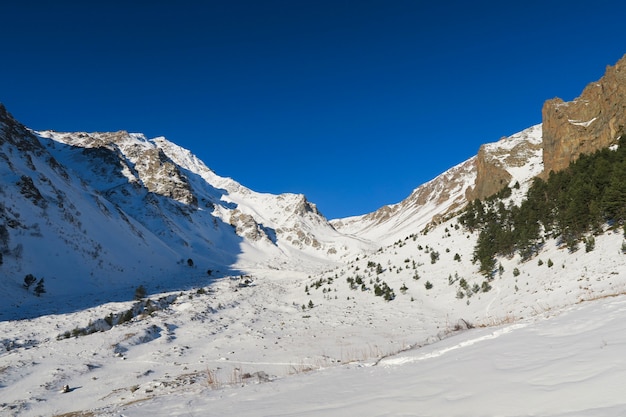 Opinião do vale nevado de Syltran. Montanhas caucasianas. Rússia