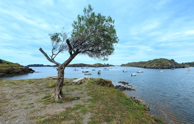 Opinião do verão da baía de Cala de Portlligat com barcos na água (Cadaques, Girona, Espanha).