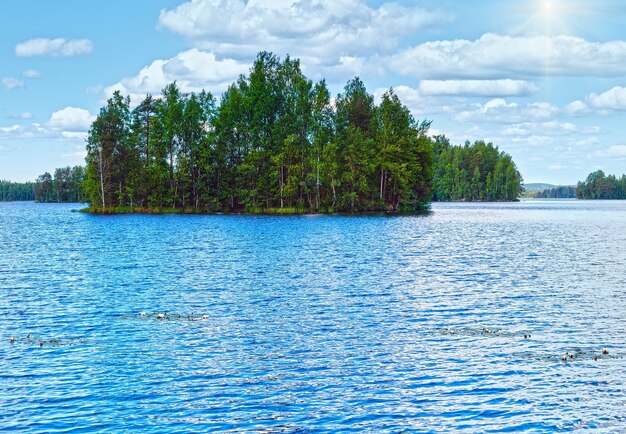 Opinião do verão do Lago Rutajarvi com floresta na borda (Urjala, Finlândia).