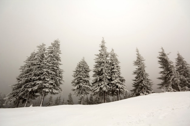 Opinión granangular del paisaje blanco y negro de la montaña del invierno.