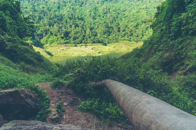 Opinión del paisaje de la naturaleza de la selva tropical, parque nacional de Khao Yai, Tailandia