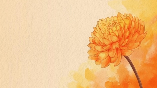 Orange Blume auf gelbem Hintergrund mit dem Wort Chrysantheme.