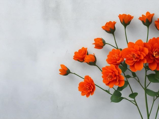 Orange Blumen gegen eine graue Wand ai erzeugt