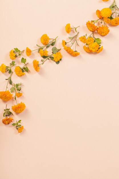 Orange Chrysanthemen auf gelbem Papierhintergrund