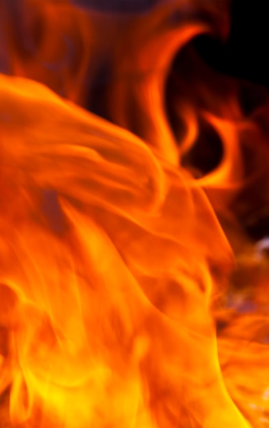 Orange Flamme des Feuers beim Verbrennen von Ästen und Brennholz Verbrennen von Holz und Brennholz in der Natur beim Kochen von Grillgerichten unscharf