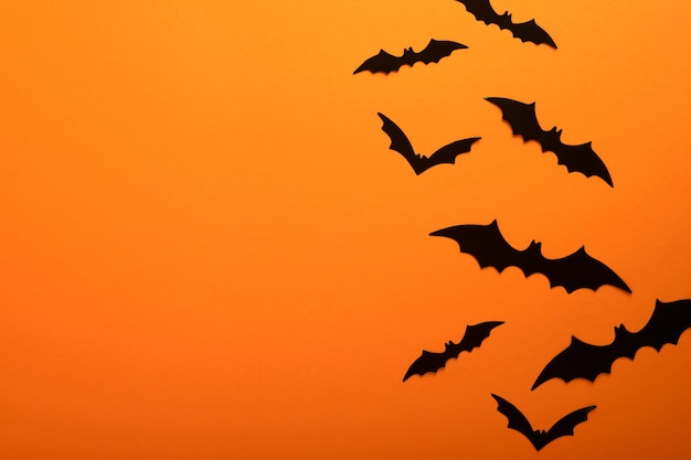 Orange Halloween-Hintergrund Herde von schwarzen Fledermäusen für Halloween Schwarze Fledermaus-Silhouetten aus Papier auf orangefarbenem Hintergrund Halloween-Konzept Kopieren Sie Platz Draufsicht Overhead